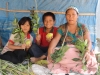 4-species-market