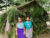 sukka-competition