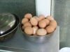 brown-eggs