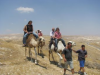 summer-seminar-in-israel-5769-09-2