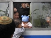 babies-on-bus