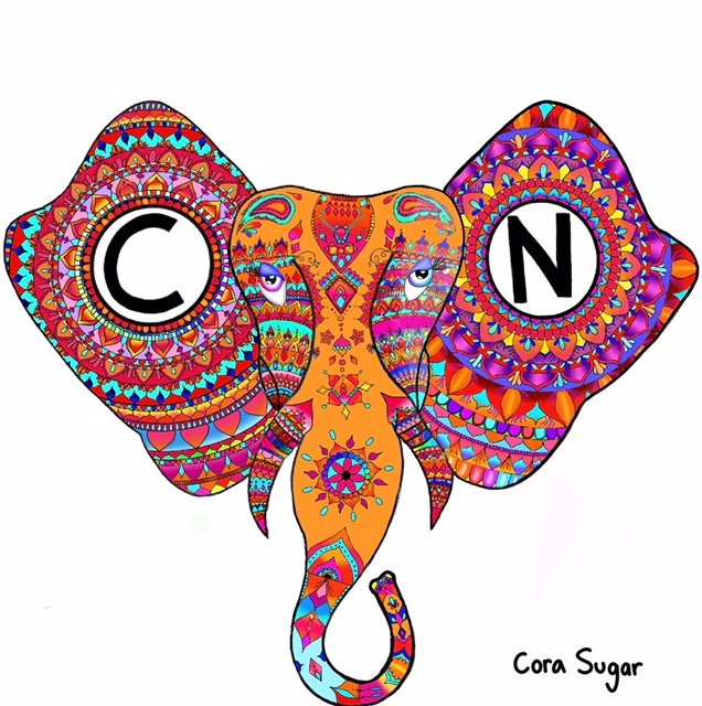 Sugar Bar Bat Mitzvah Sugar Bar Bat Mitzvah